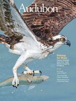 Audubon Magazine